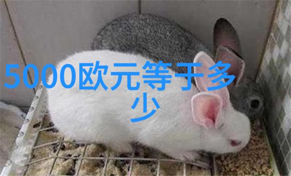 2017年新西兰政策回顾2018年政策展望