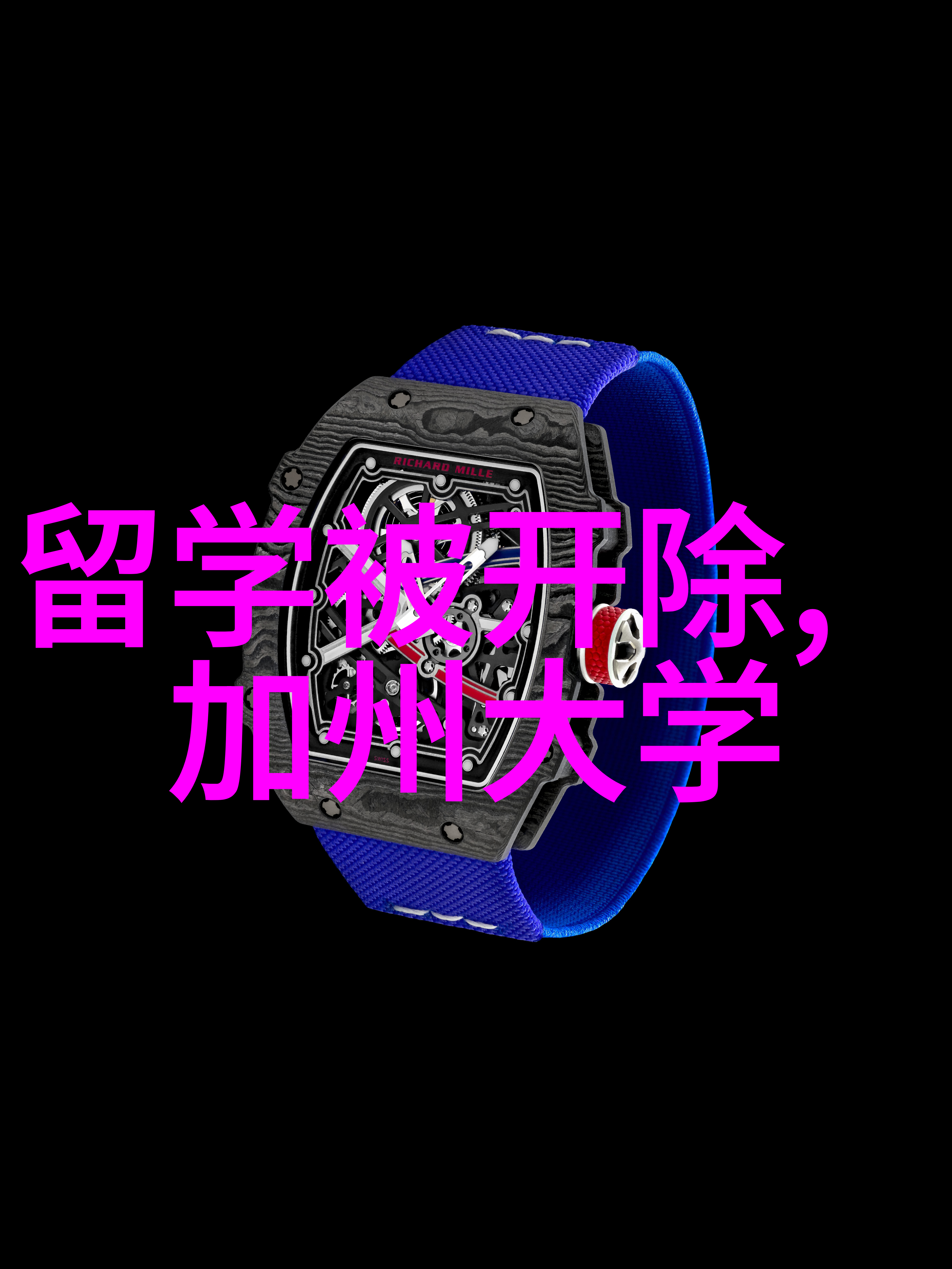 2010年德国留学费用