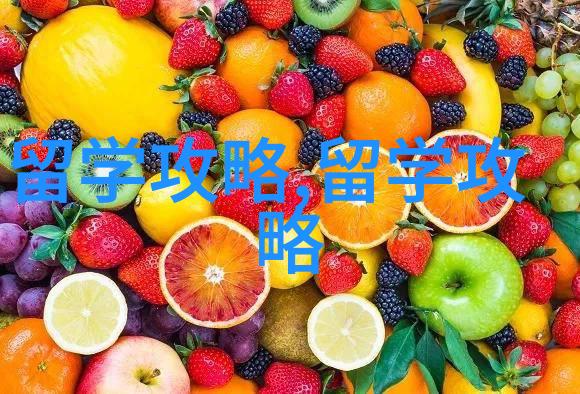 香港留学香港前三大学专业申请难易度排名详解