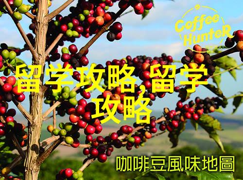 为什么说普通家庭更推荐去泰国留学其中的优势究竟是什么