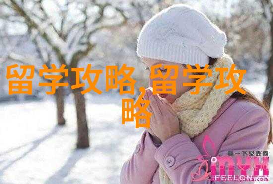 新加坡留学 没事回国干啥在新加坡挺好究其原因竟是这些