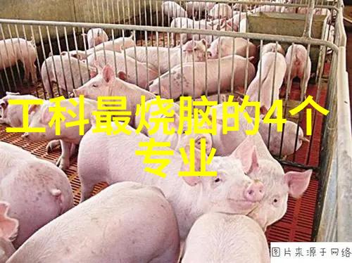 英国研究生留学选择什么专业好