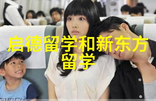 悉尼大学不可以配语言班的本科专业