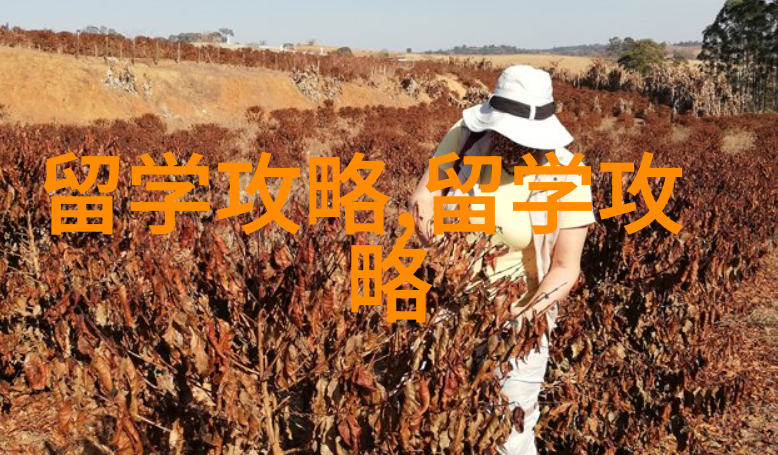 轻松办理新加坡学签开启留学之旅