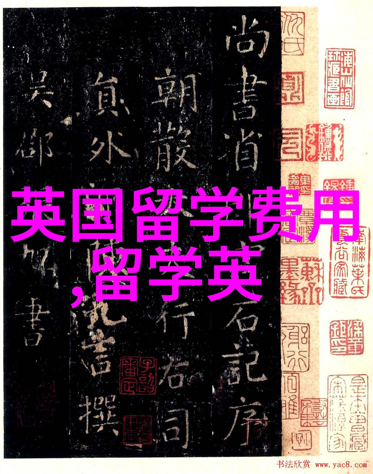 雷丁大学官宣接受高考成绩直申本科