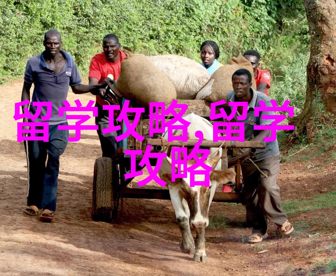 新加坡留学必看新国立南洋理工本科申请日期及要求汇总高考A-LEVELIB成绩可申