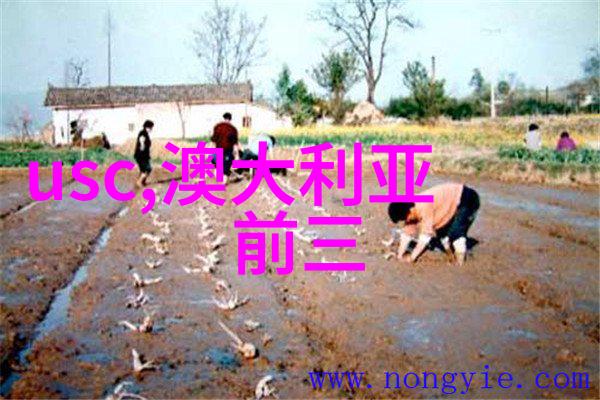 澳洲读大学一般几年全面解析与疑惑解答