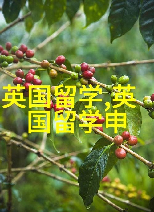 英国研究生留学申请流程有几步