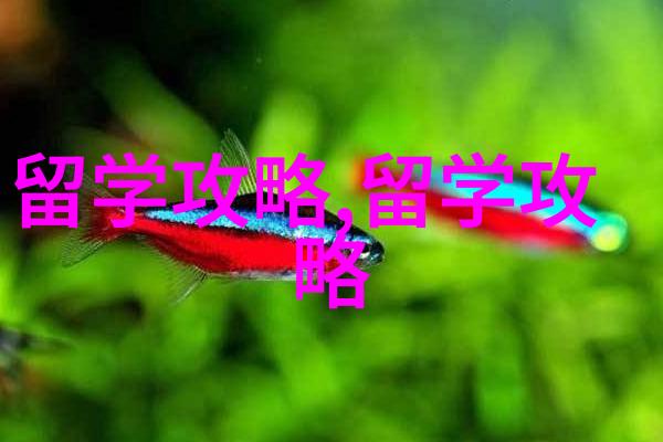 留学新风向选择新加坡留学十大不可抗拒的理由你必须知道