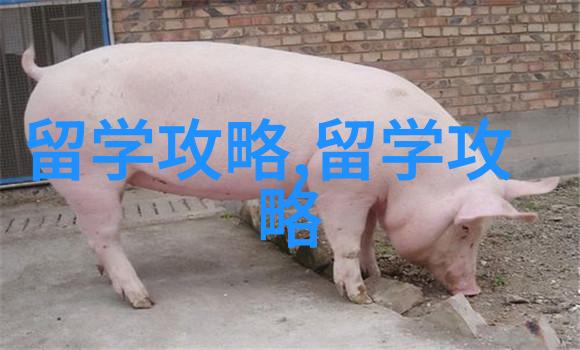 马来西亚留学择校综合考虑三个因素