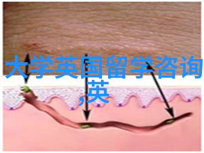如何选择英国学校和专业