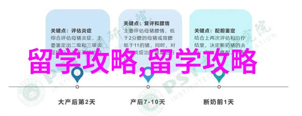 留学2025年申请新加坡硕士留学如何做准备