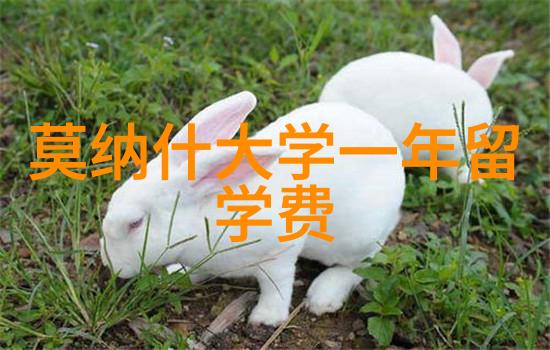 又到一年高考季