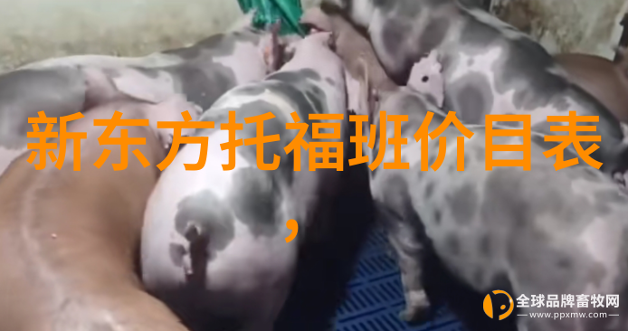 美国东北大学部分专业可免递交语言成绩