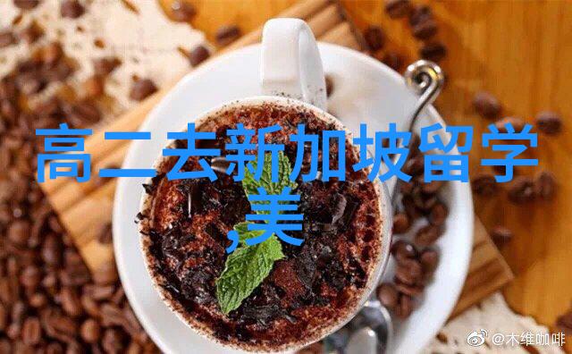 芬兰350家公司表示希望英语为工作语言
