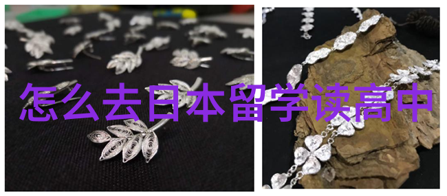 澳洲留学开设法律专业的院校有哪些