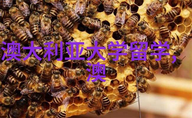 英国布鲁内尔大学莱斯特大学入学语言要求为60的硕士